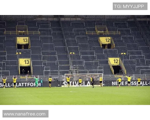 疫情期间德甲球队 德甲球队在疫情期间的应对方式