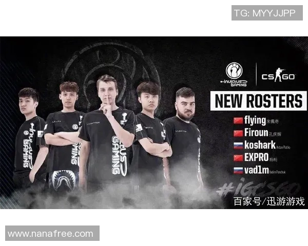 CSGO战队IG的转型之路与未来发展趋势深度分析